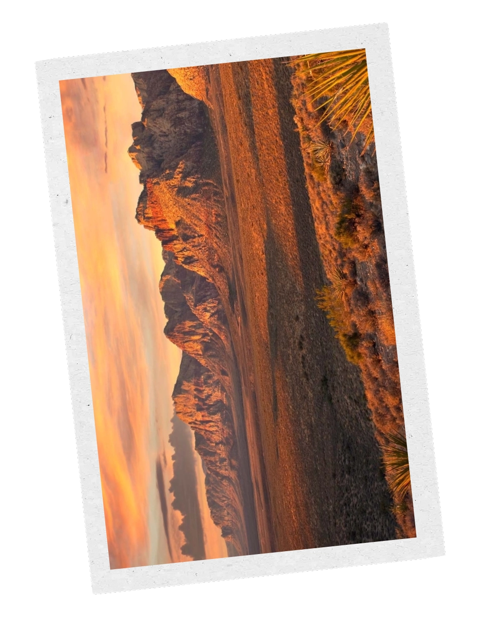 Illustration picture